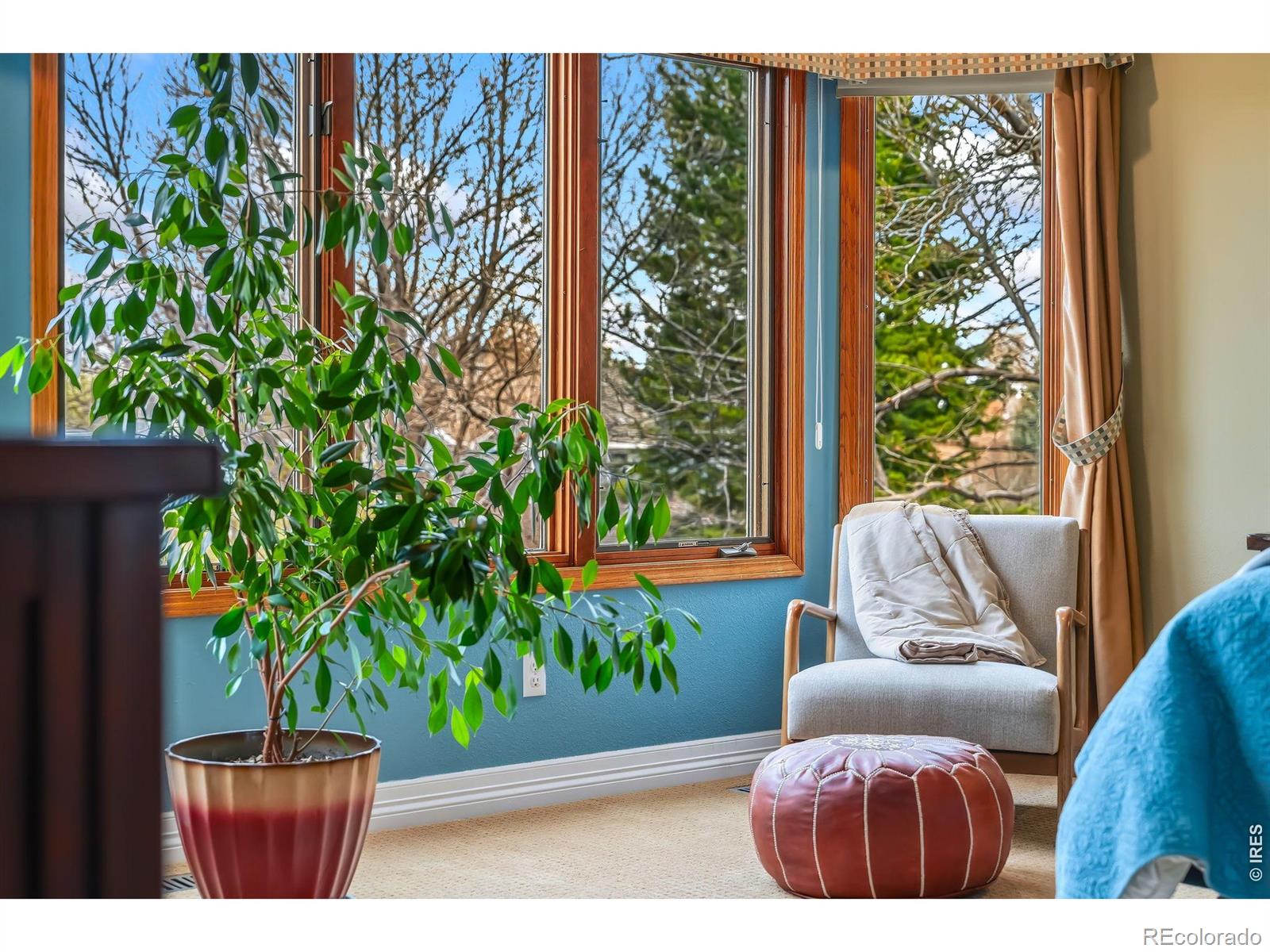 1006 Fox Hills Drive Fort Collins CO 80526