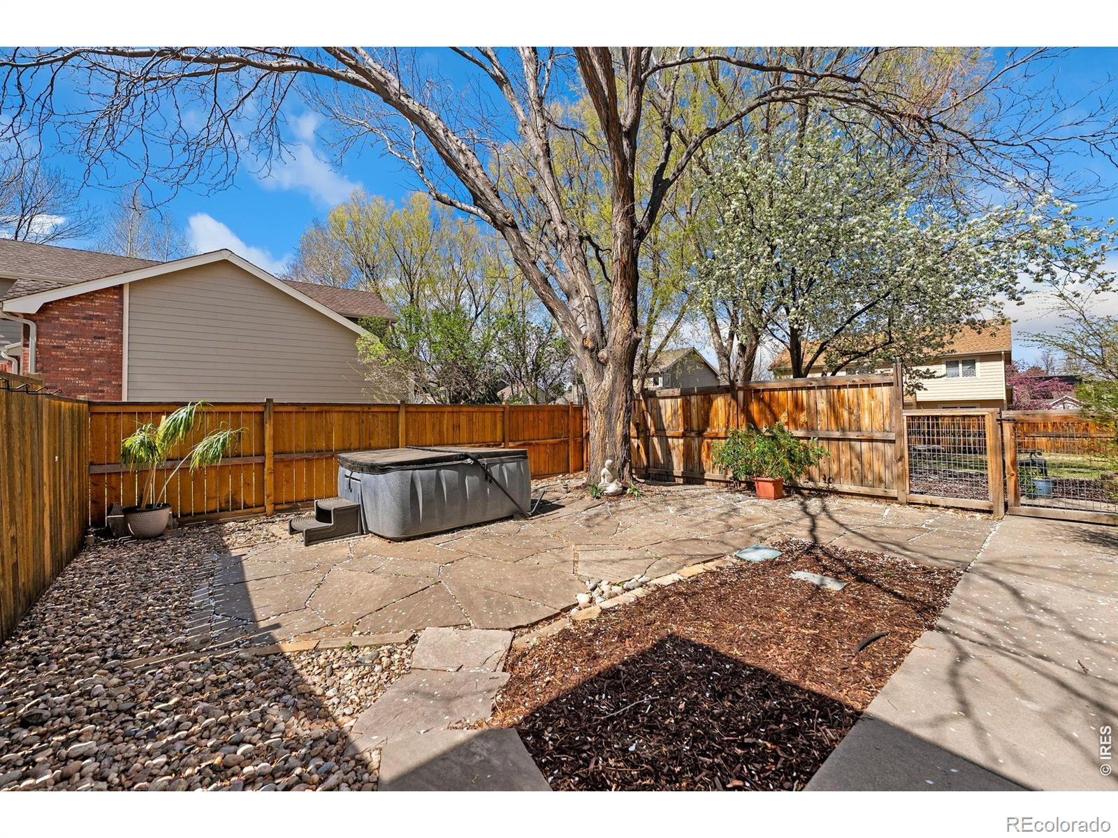 1006 Fox Hills Drive Fort Collins CO 80526