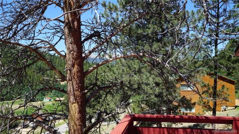 261 Wilkins Road Bailey CO 80421