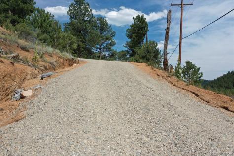 261 Wilkins Road Bailey CO 80421