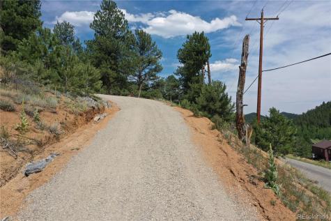 261 Wilkins Road Bailey CO 80421