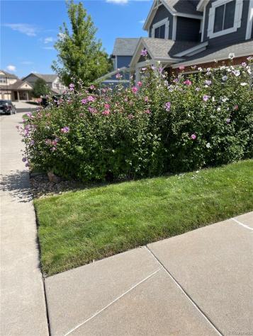 11580 Terrawood Court Parker CO 80134