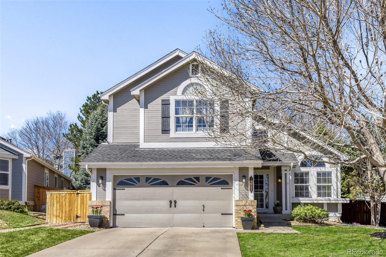 10047 Andrush Court Lone Tree CO 80124