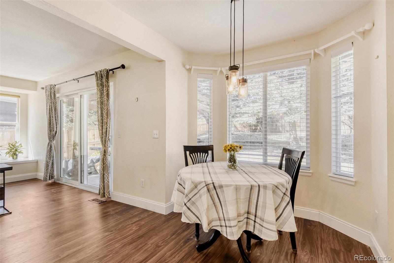 10047 Andrush Court Lone Tree CO 80124