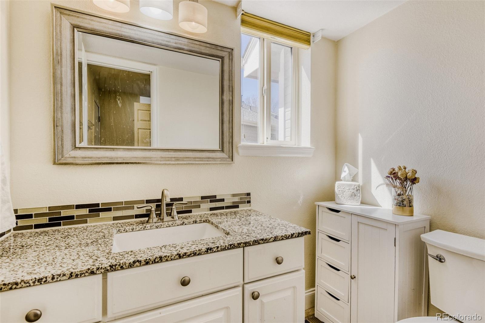 10047 Andrush Court Lone Tree CO 80124