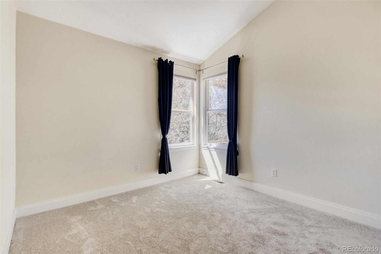 10047 Andrush Court Lone Tree CO 80124
