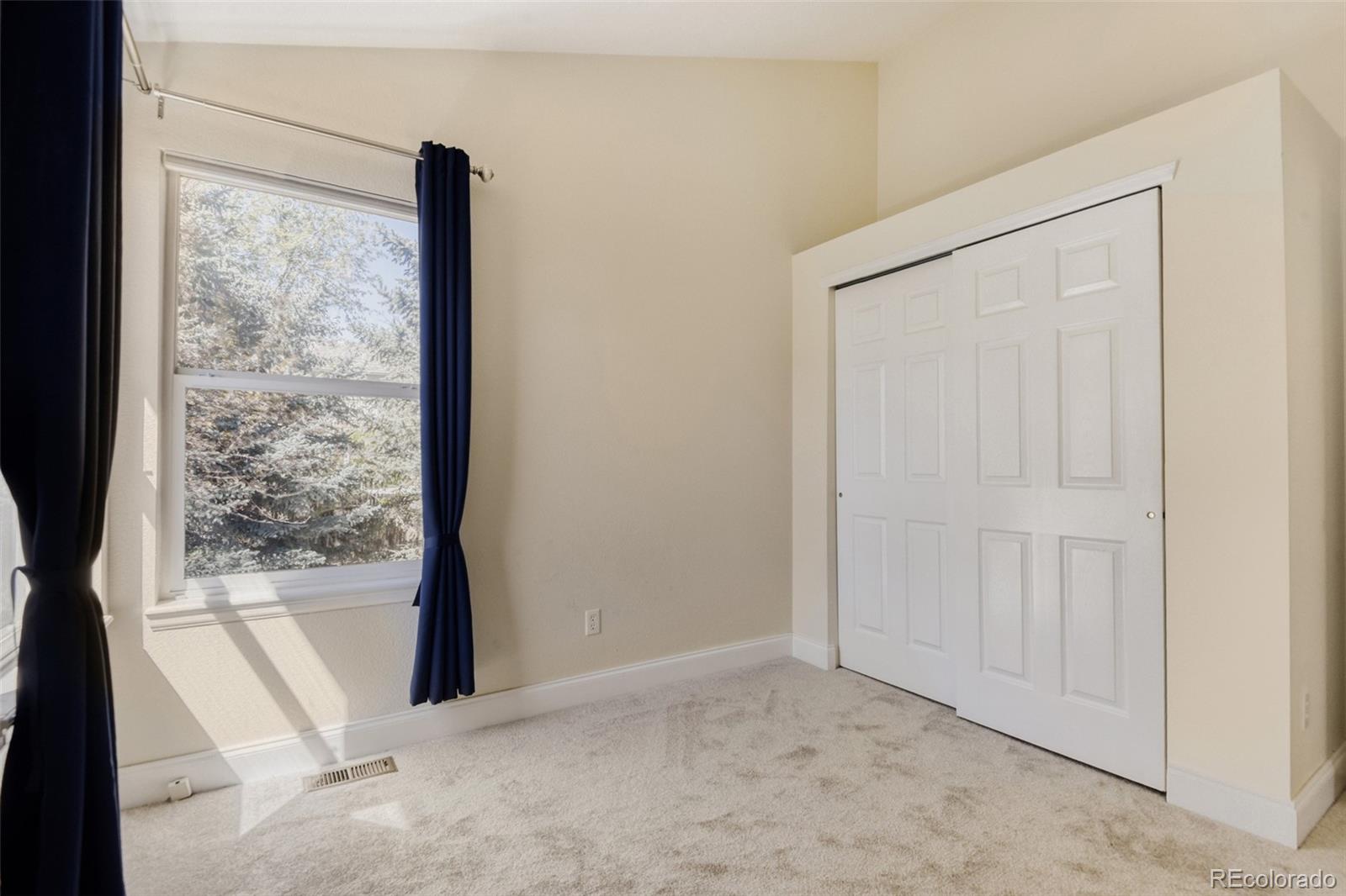 10047 Andrush Court Lone Tree CO 80124
