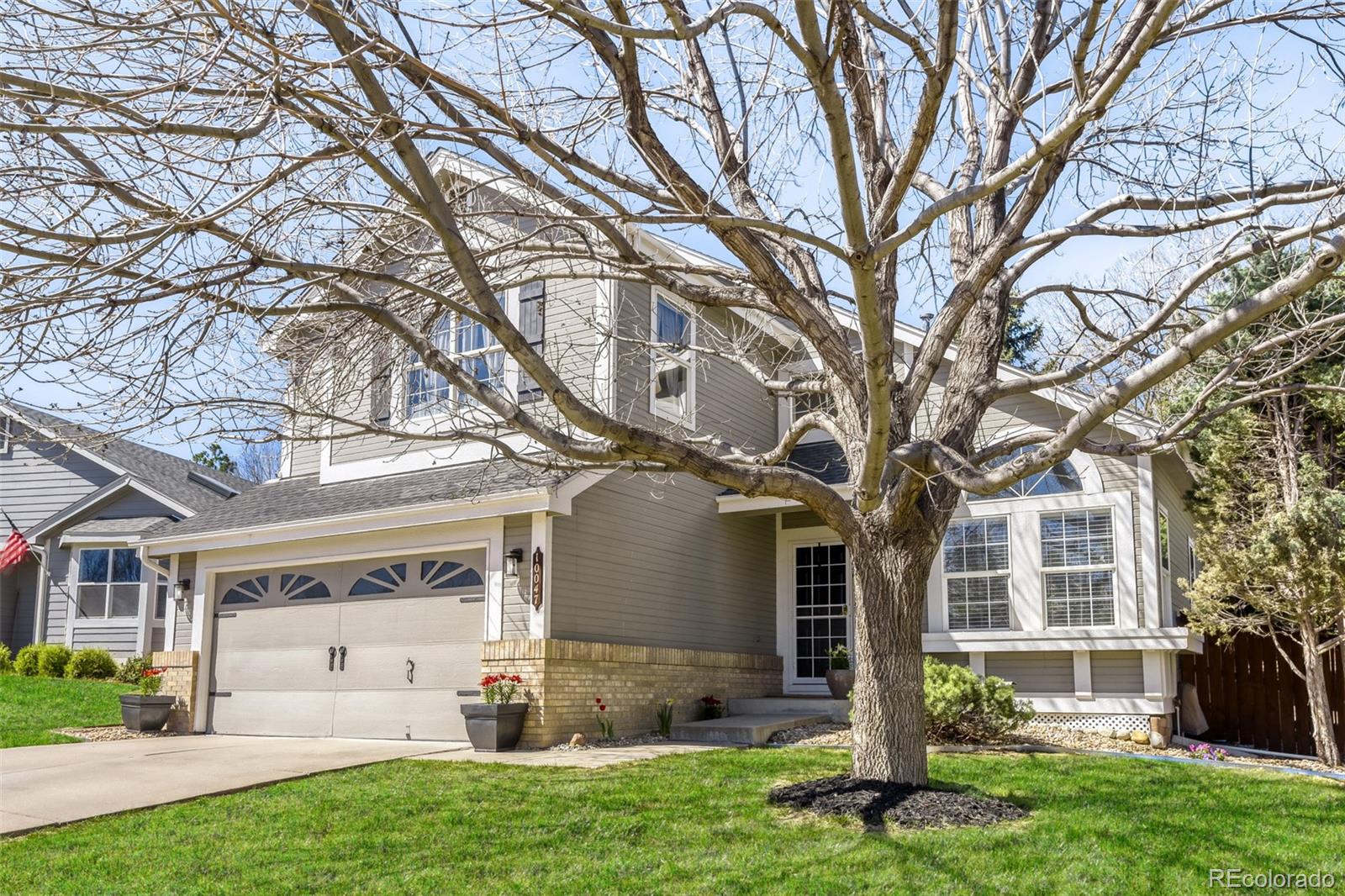 10047 Andrush Court Lone Tree CO 80124