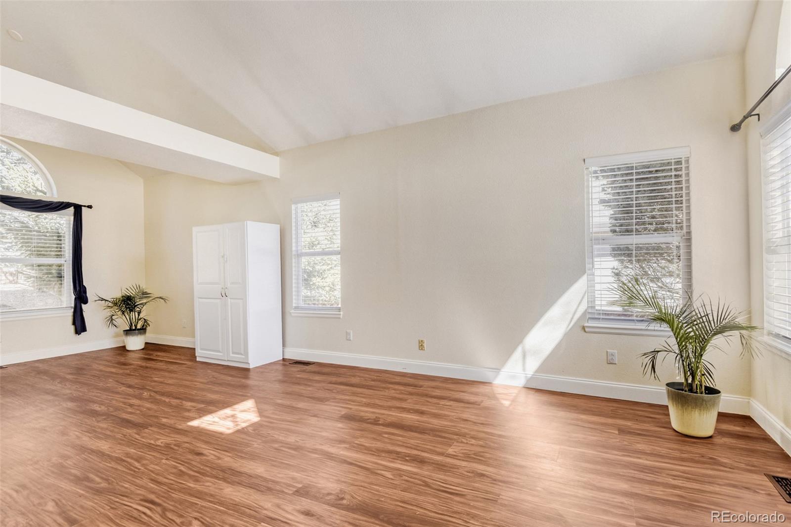 10047 Andrush Court Lone Tree CO 80124