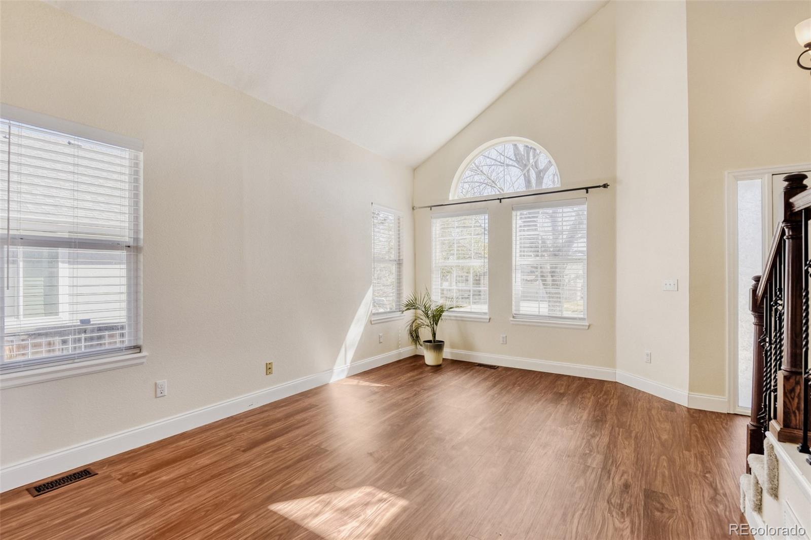 10047 Andrush Court Lone Tree CO 80124