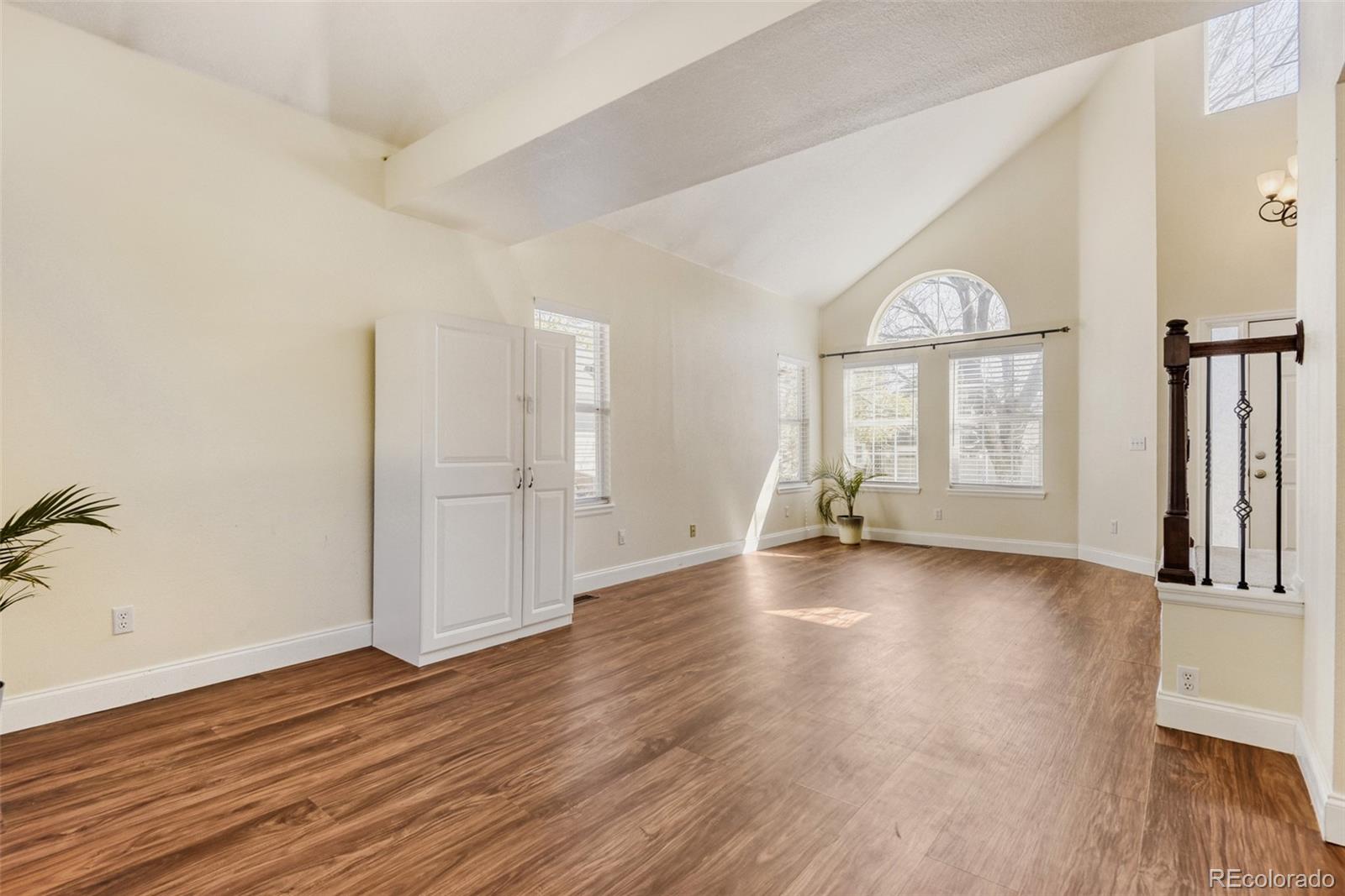 10047 Andrush Court Lone Tree CO 80124