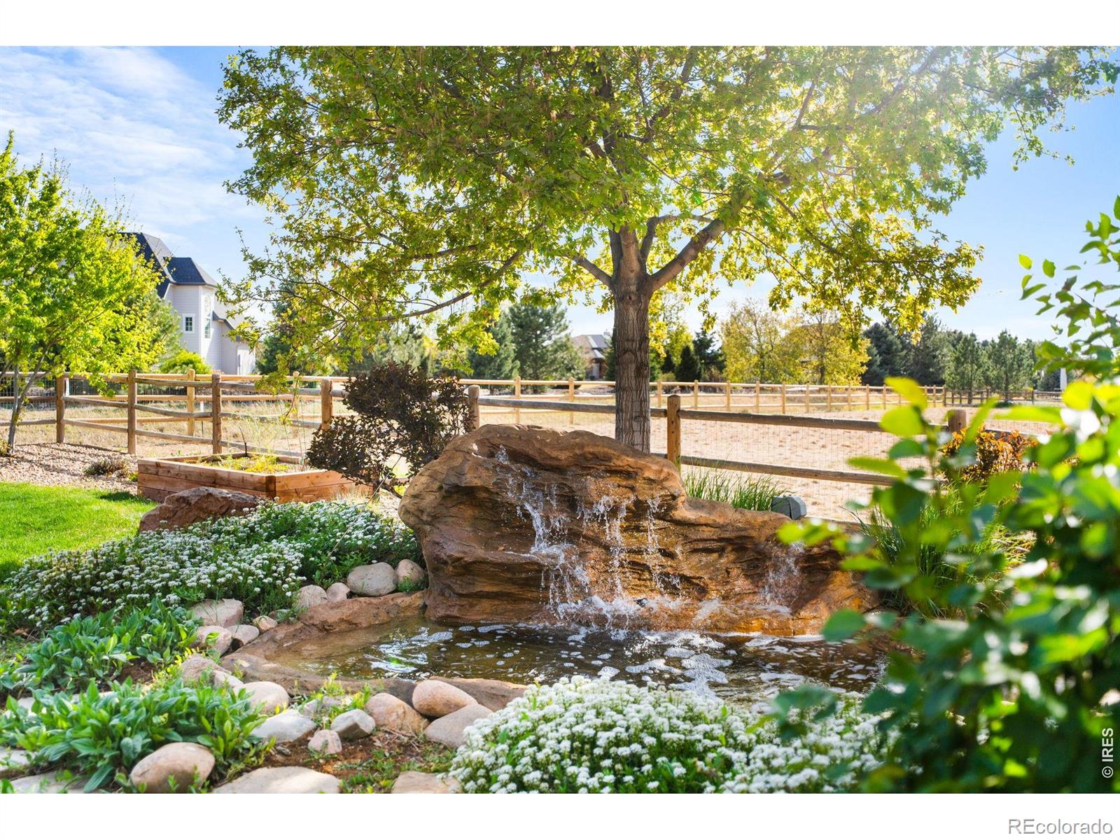 8213 Cherry Blossom Drive Windsor CO 80550