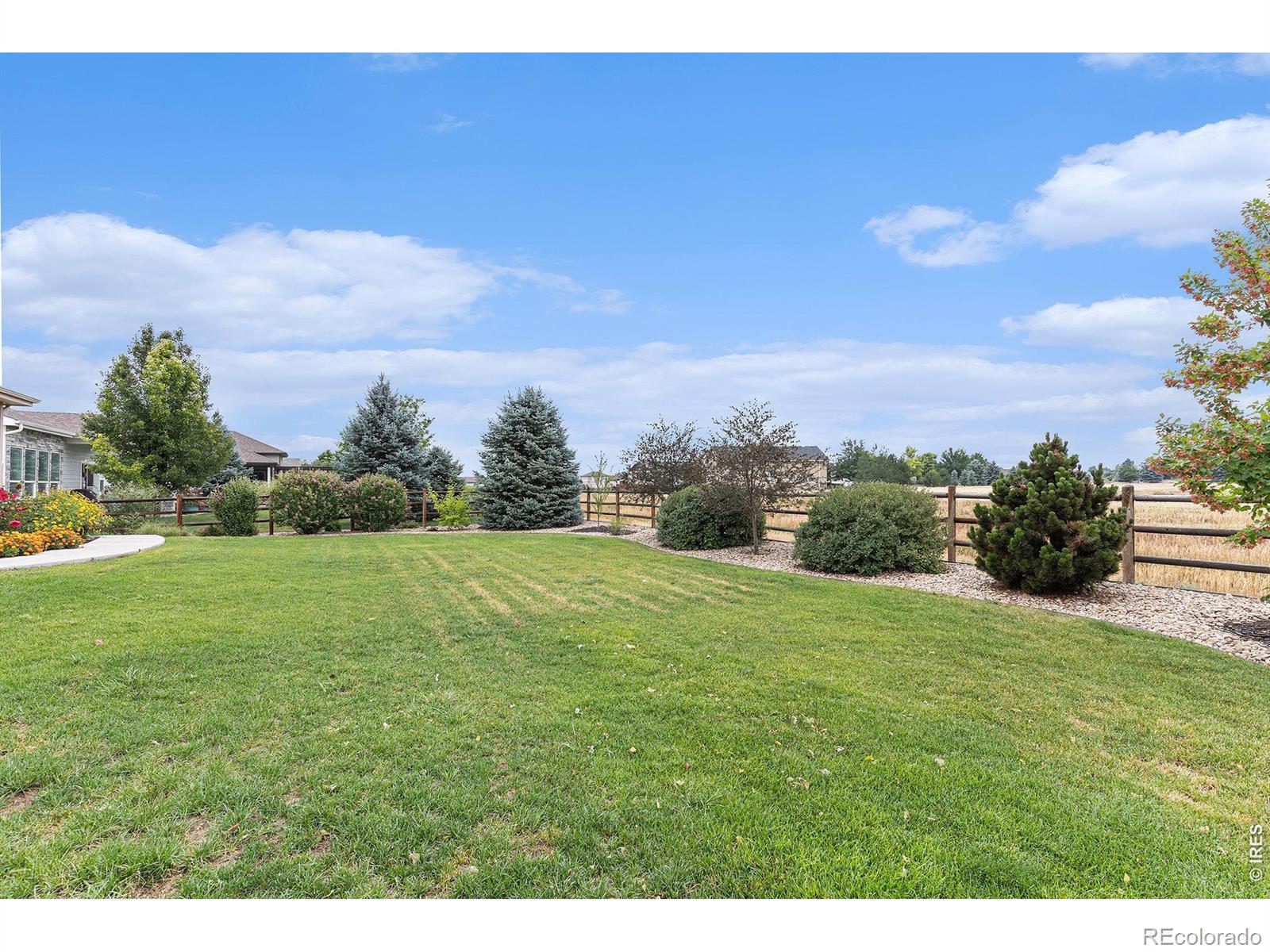 8213 Cherry Blossom Drive Windsor CO 80550