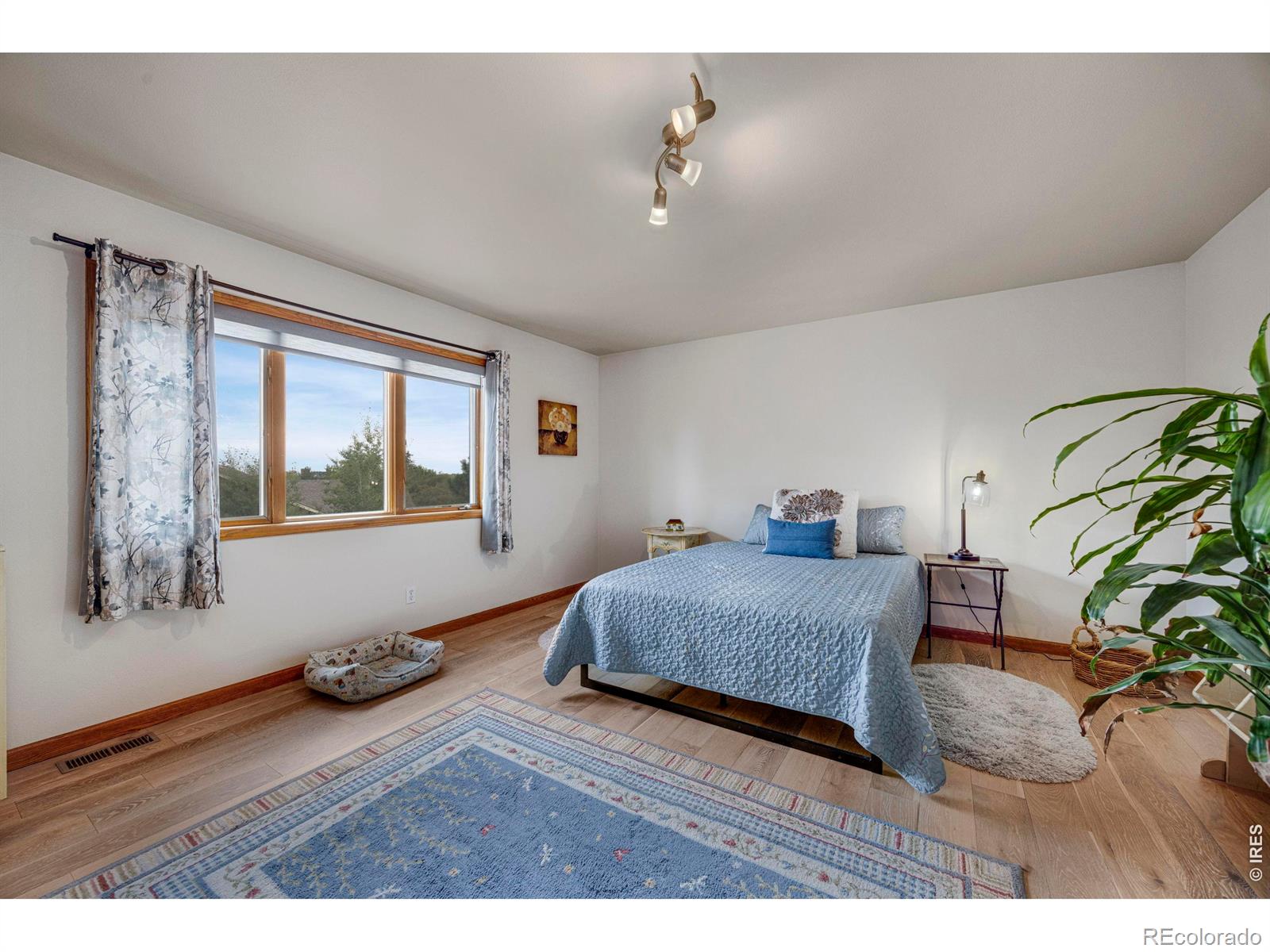 7330 Silvermoon Lane Fort Collins CO 80525