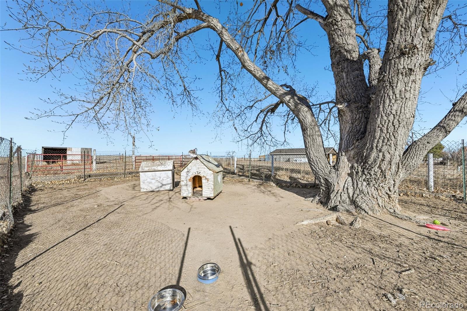53909 E Bison Drive Strasburg CO 80136