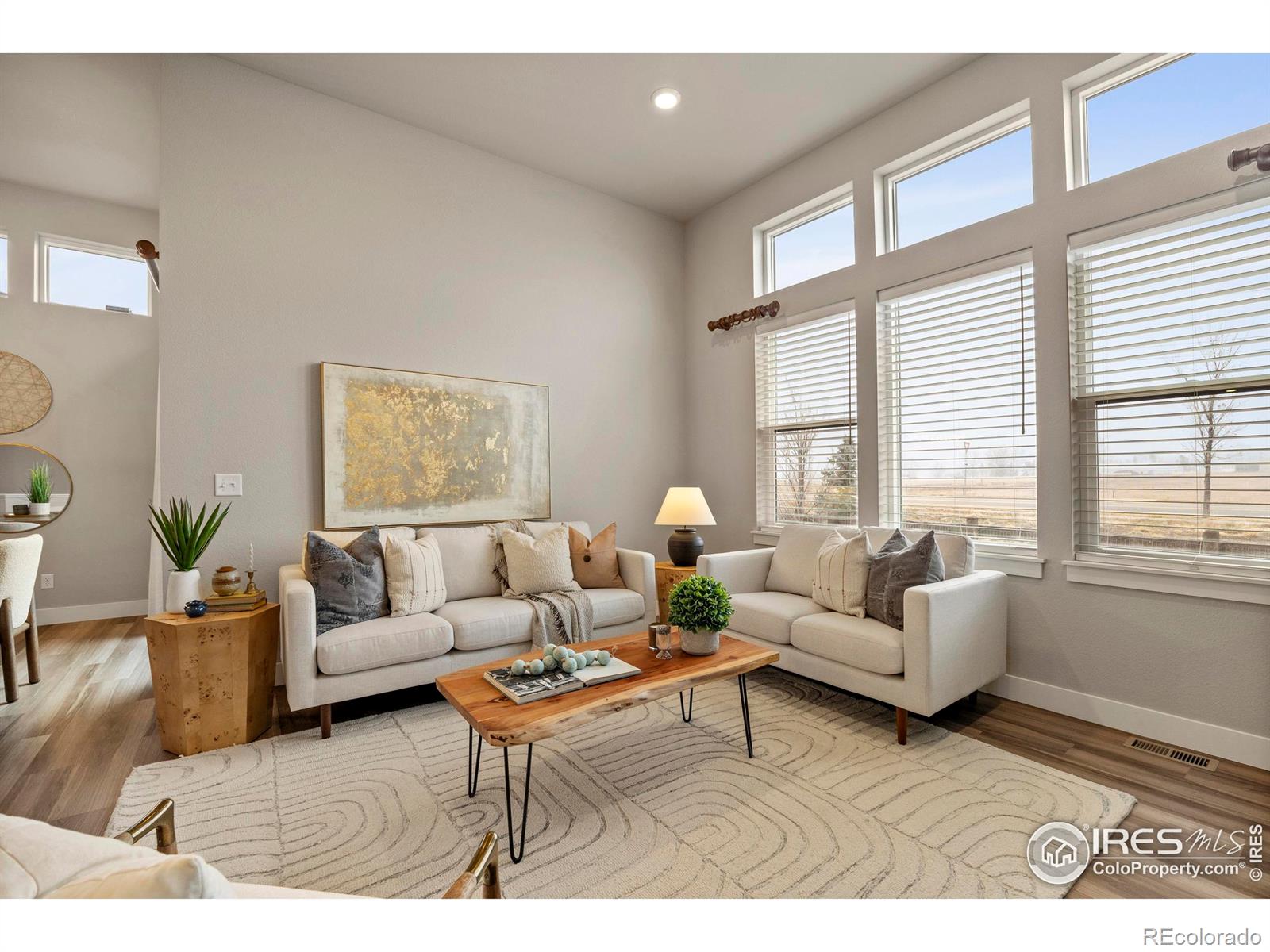 6752 Castello Street Timnath CO 80547