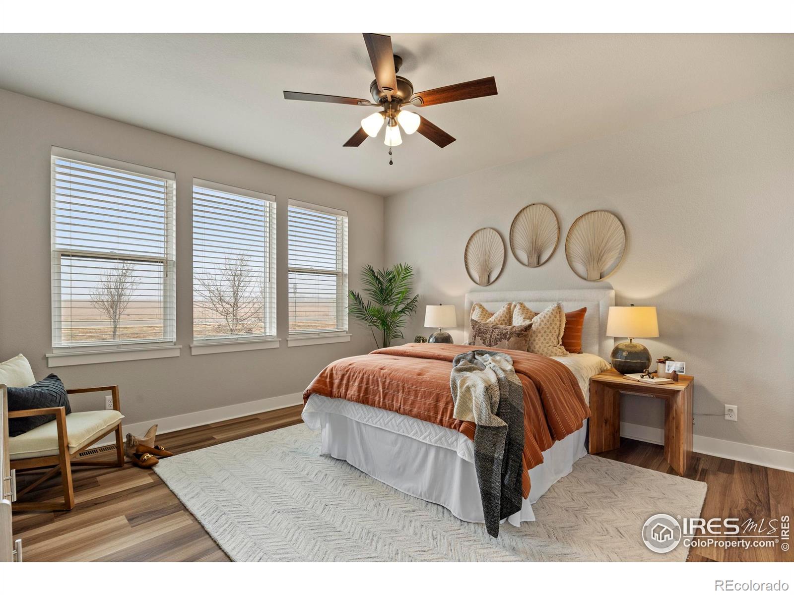 6752 Castello Street Timnath CO 80547