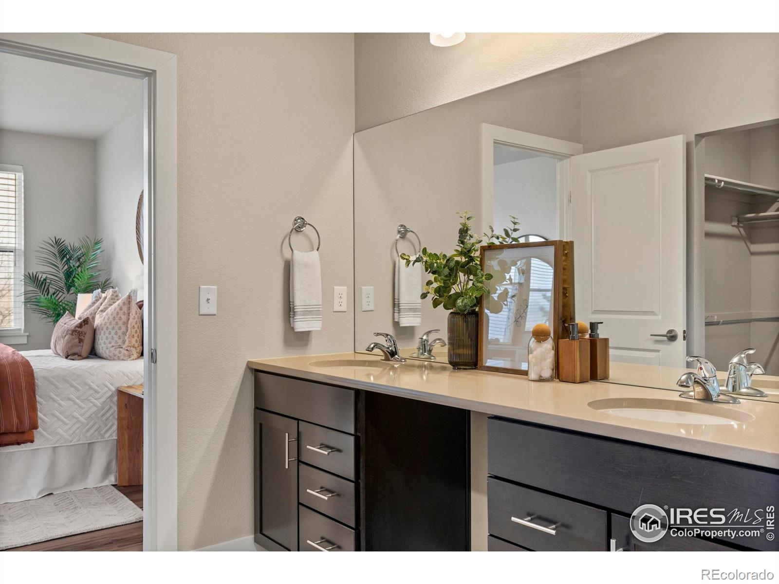 6752 Castello Street Timnath CO 80547
