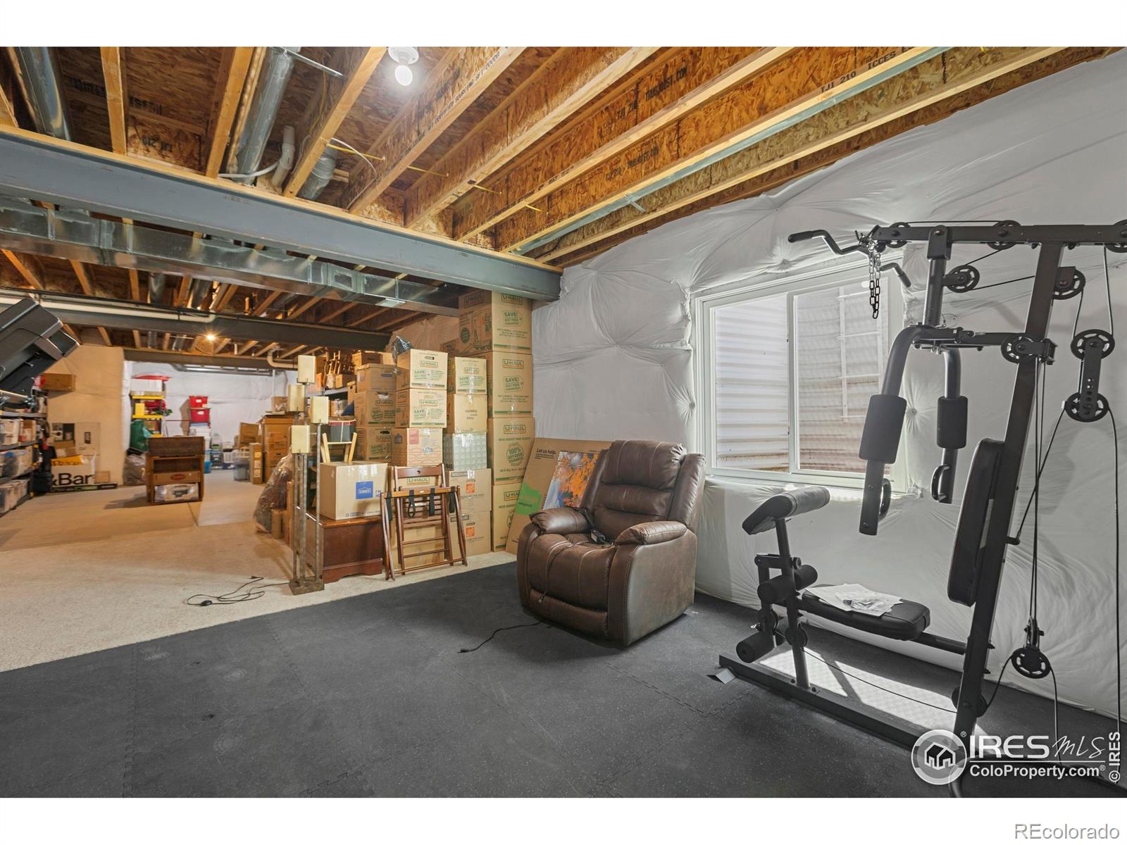 6752 Castello Street Timnath CO 80547