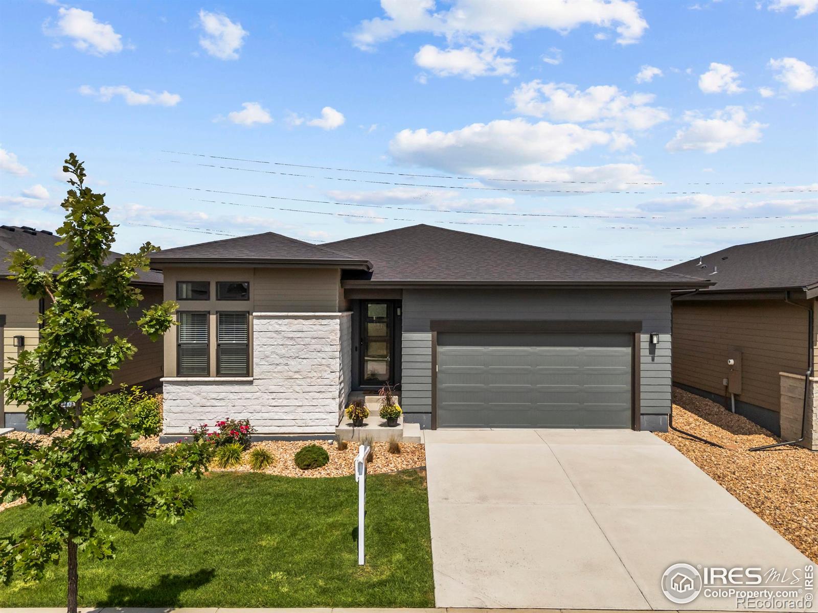 6752 Castello Street Timnath CO 80547