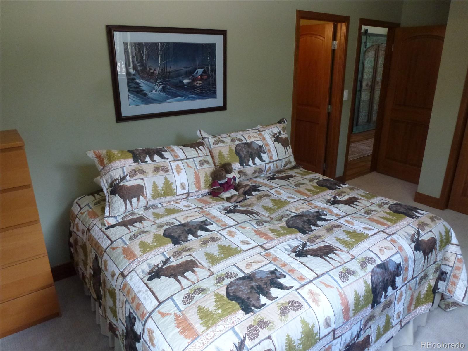 13694 Drake Court Pine CO 80470