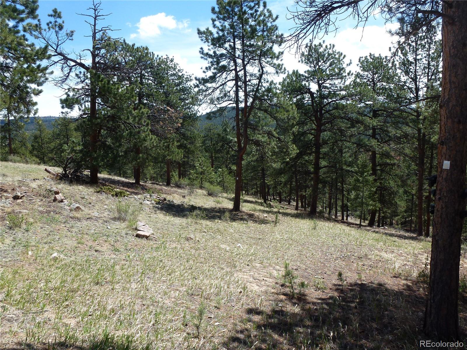 13694 Drake Court Pine CO 80470