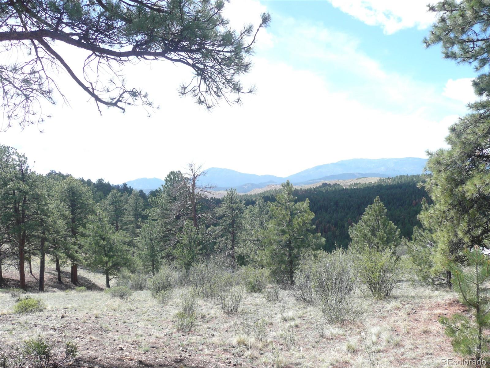 13694 Drake Court Pine CO 80470