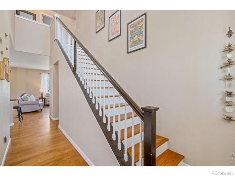 632 Denali Court Windsor CO 80550