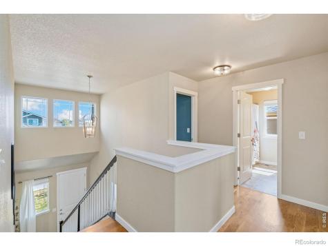 632 Denali Court Windsor CO 80550