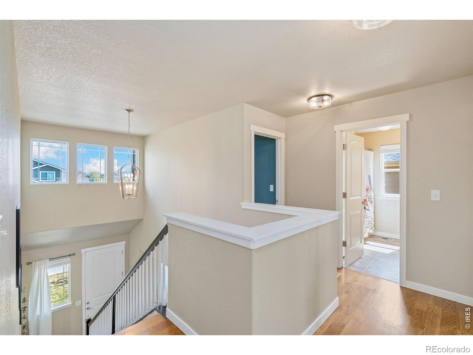 632 Denali Court Windsor CO 80550