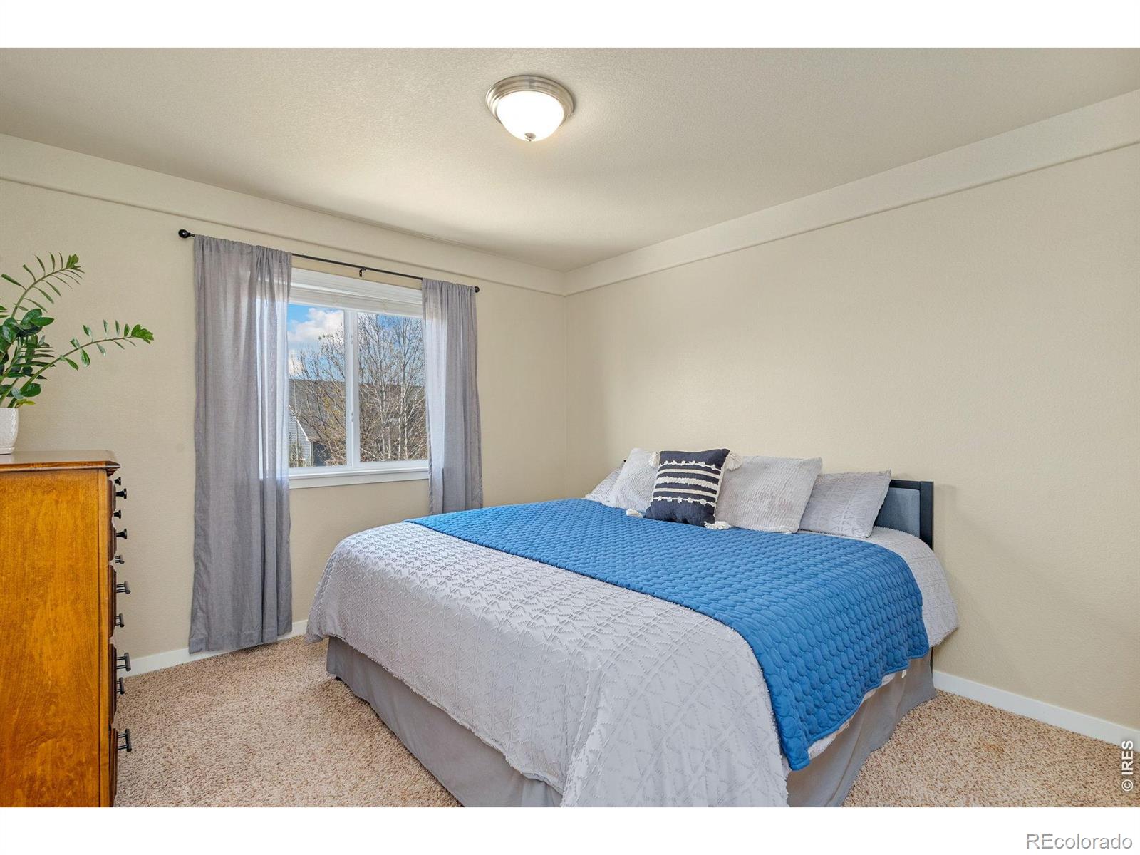 632 Denali Court Windsor CO 80550