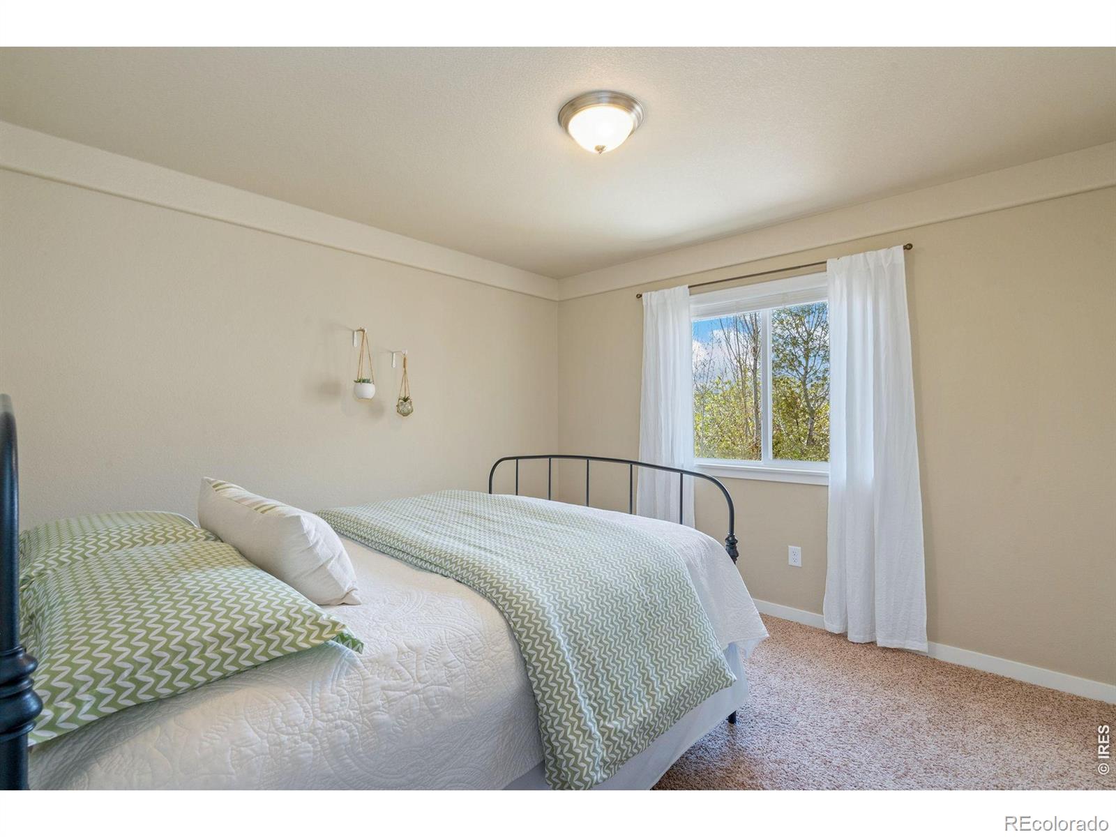 632 Denali Court Windsor CO 80550