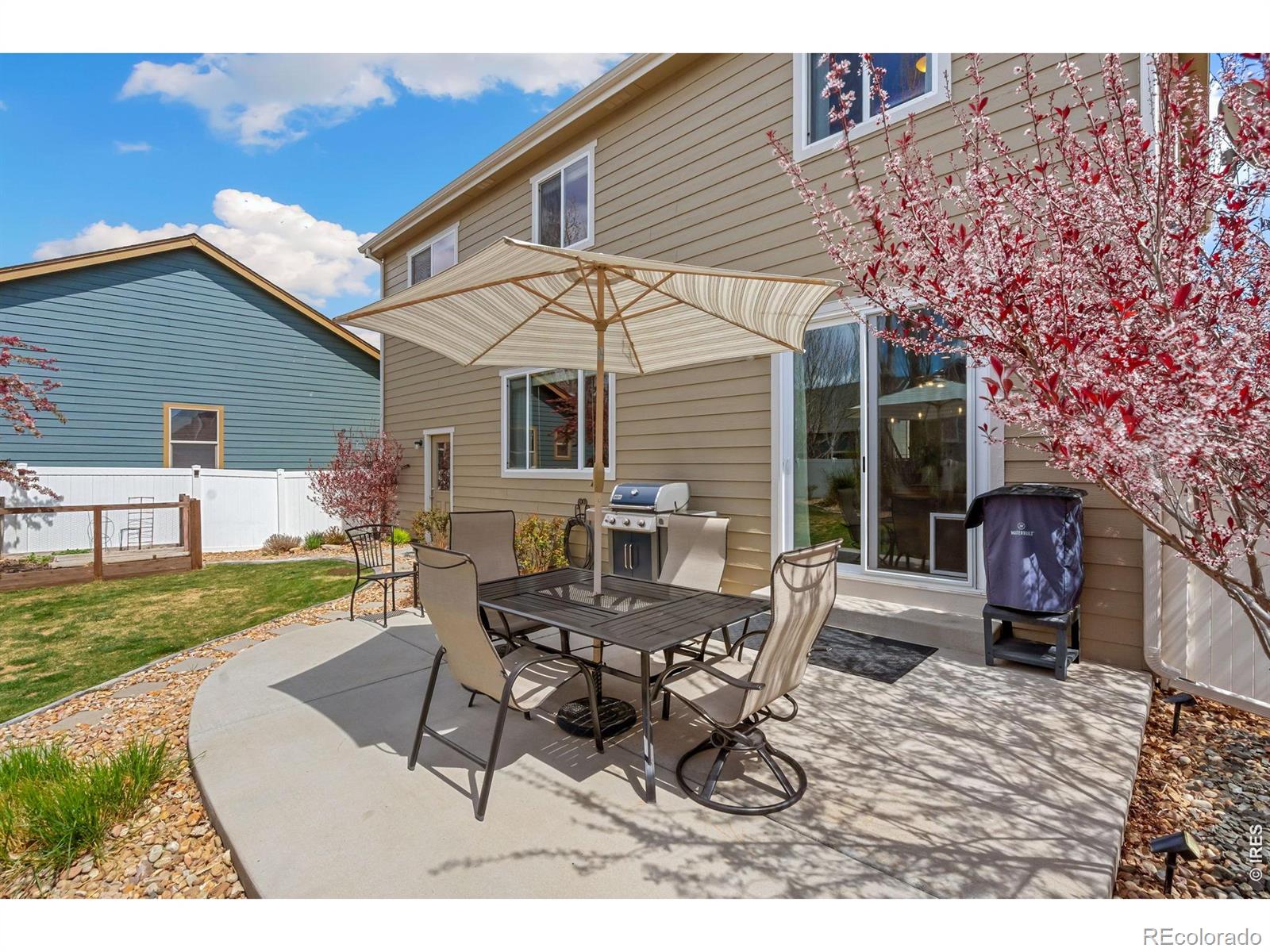 632 Denali Court Windsor CO 80550