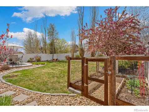 632 Denali Court Windsor CO 80550