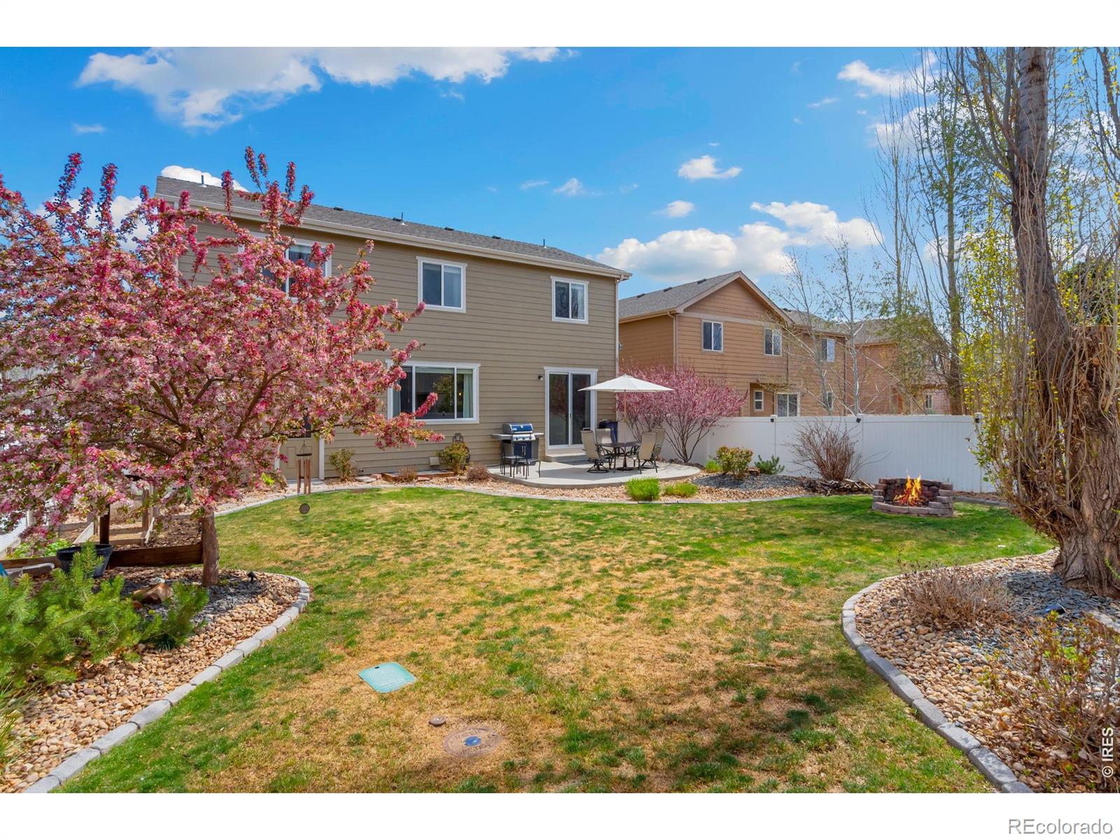 632 Denali Court Windsor CO 80550