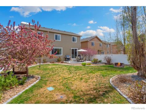 632 Denali Court Windsor CO 80550