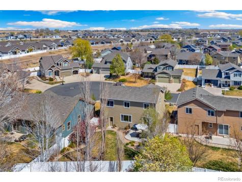 632 Denali Court Windsor CO 80550