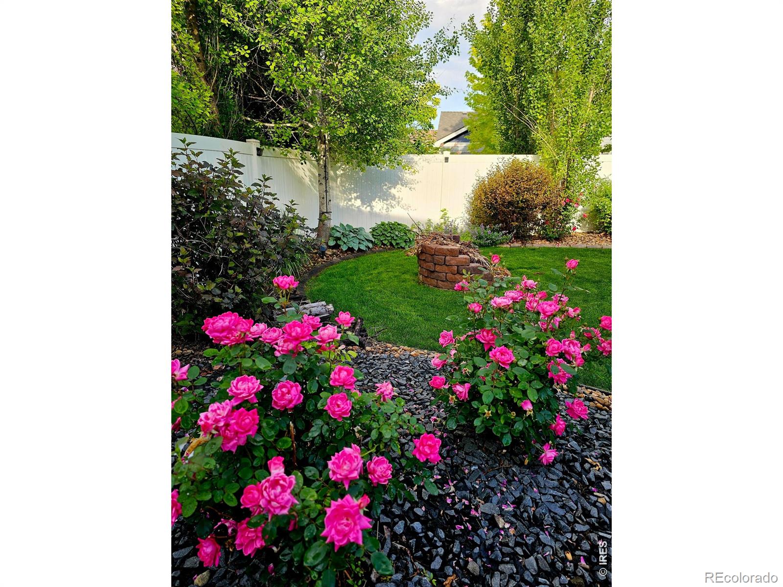 632 Denali Court Windsor CO 80550