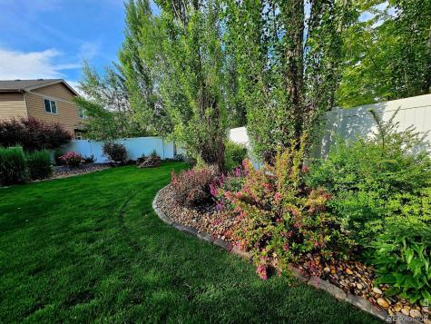 632 Denali Court Windsor CO 80550