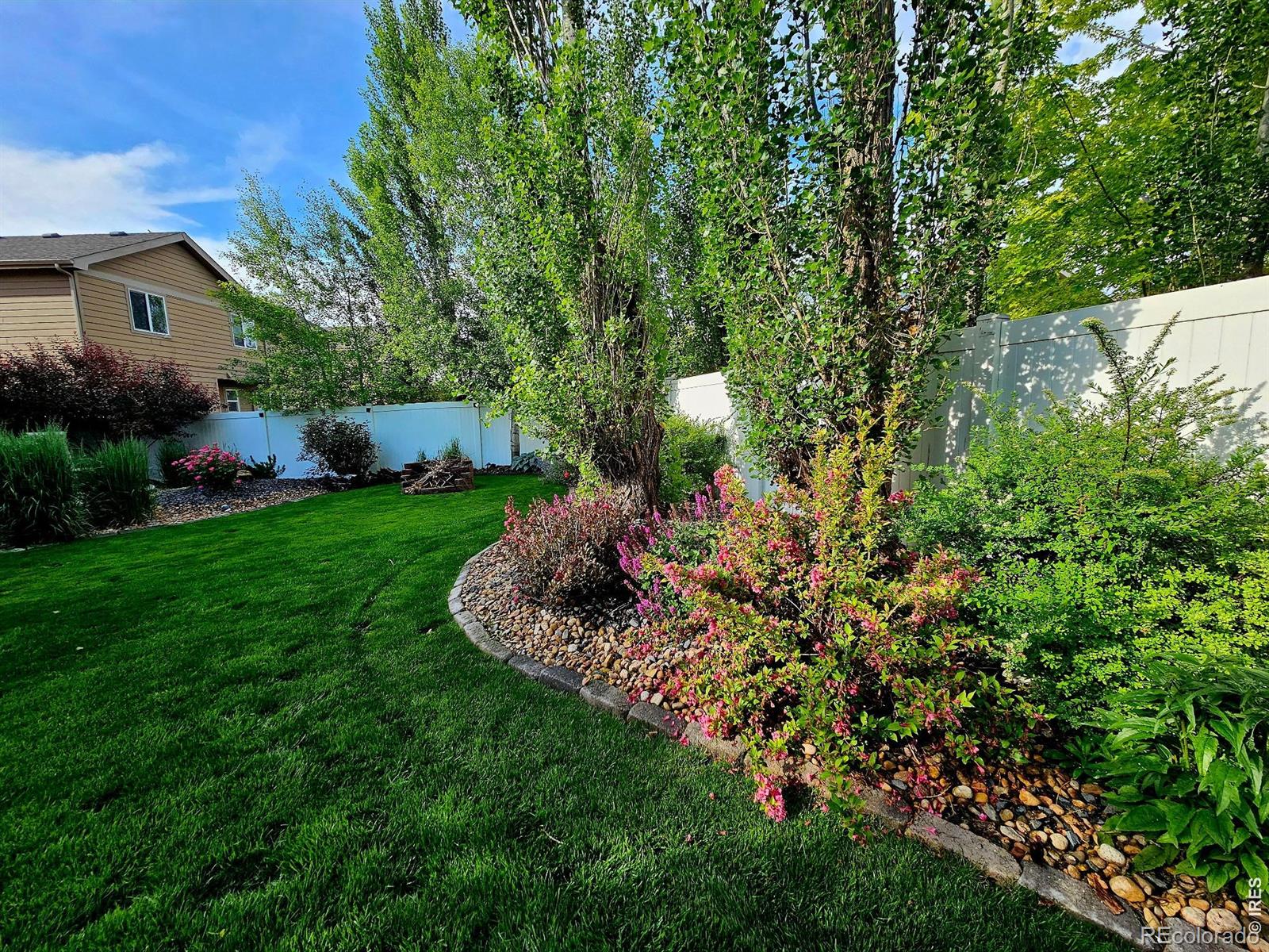632 Denali Court Windsor CO 80550
