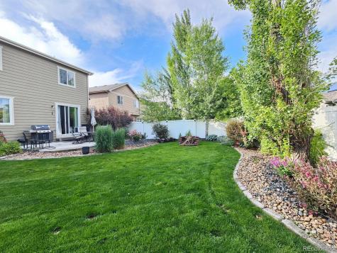 632 Denali Court Windsor CO 80550