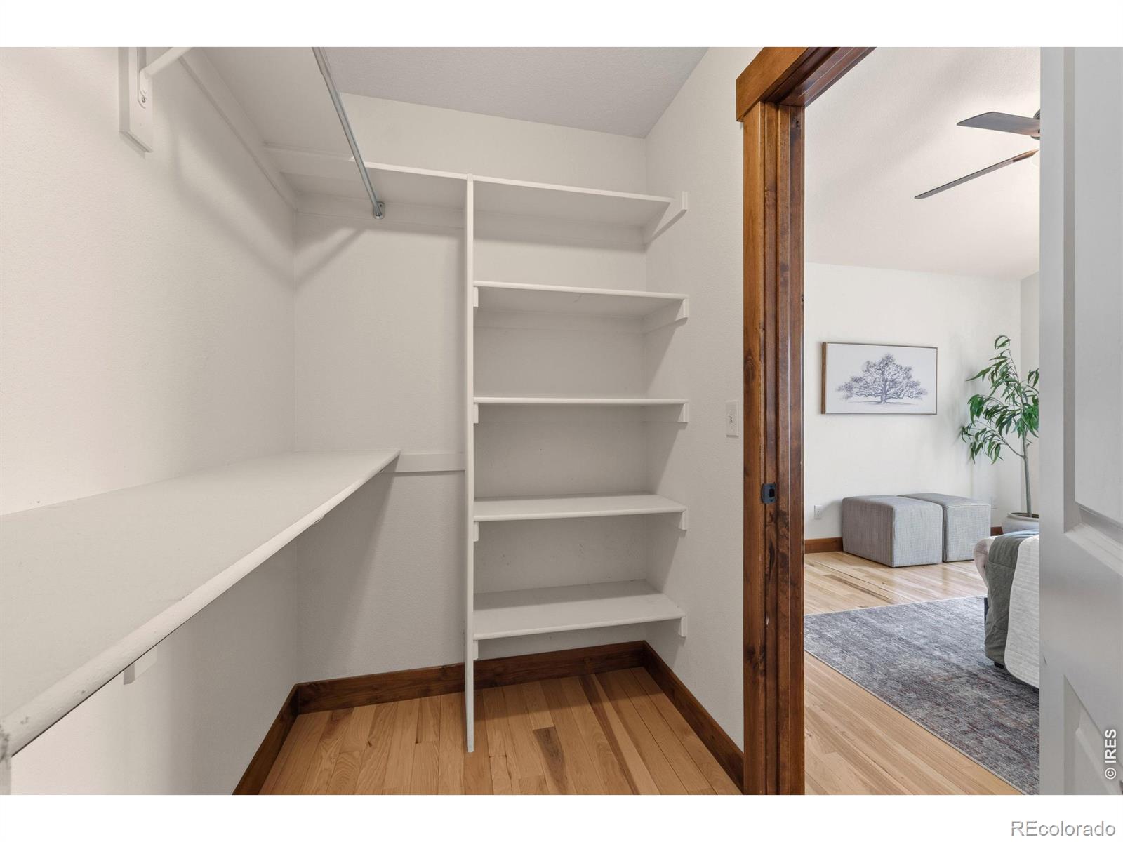 3354 Cuchara Court Loveland CO 80538