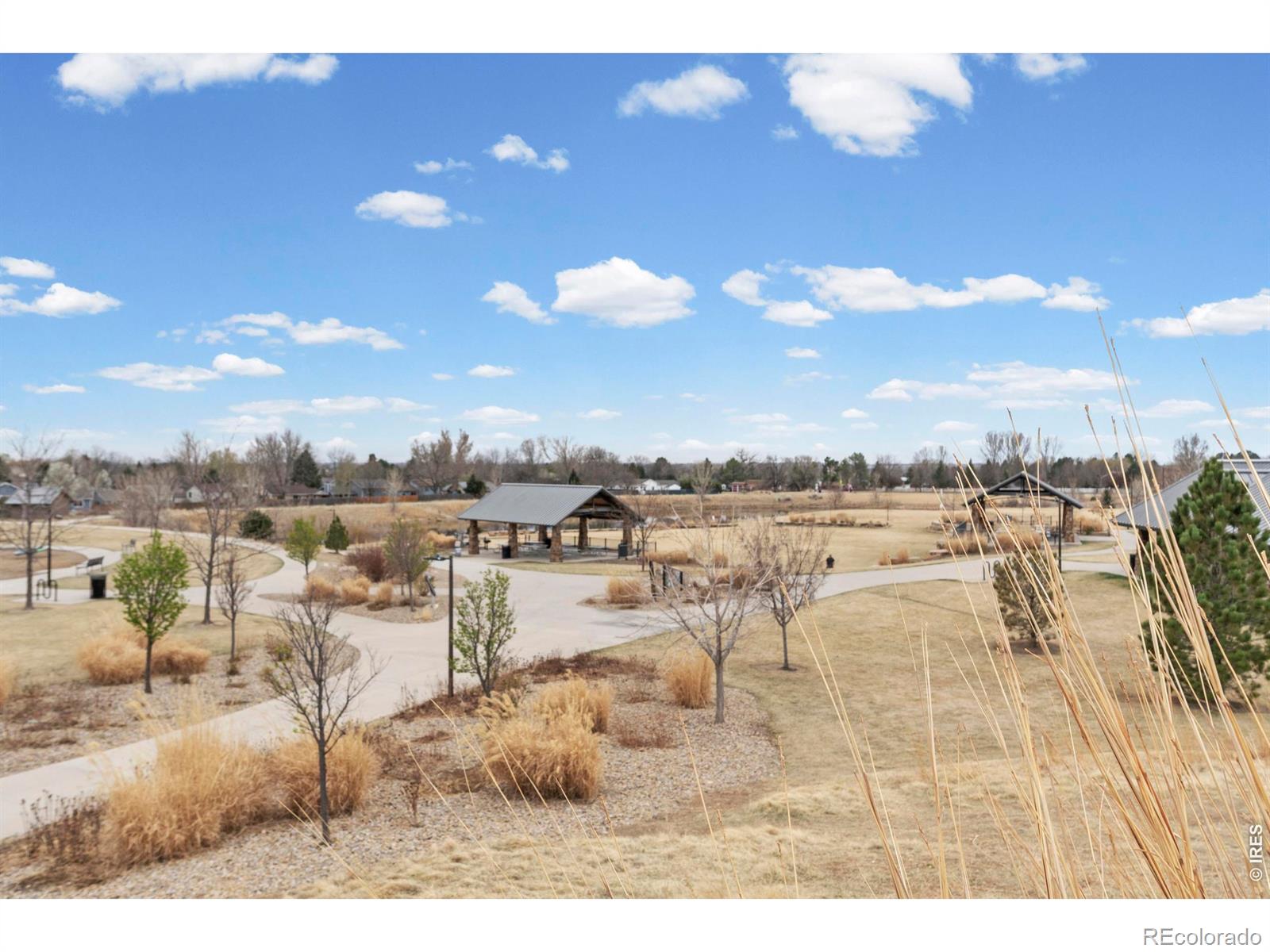 3354 Cuchara Court Loveland CO 80538