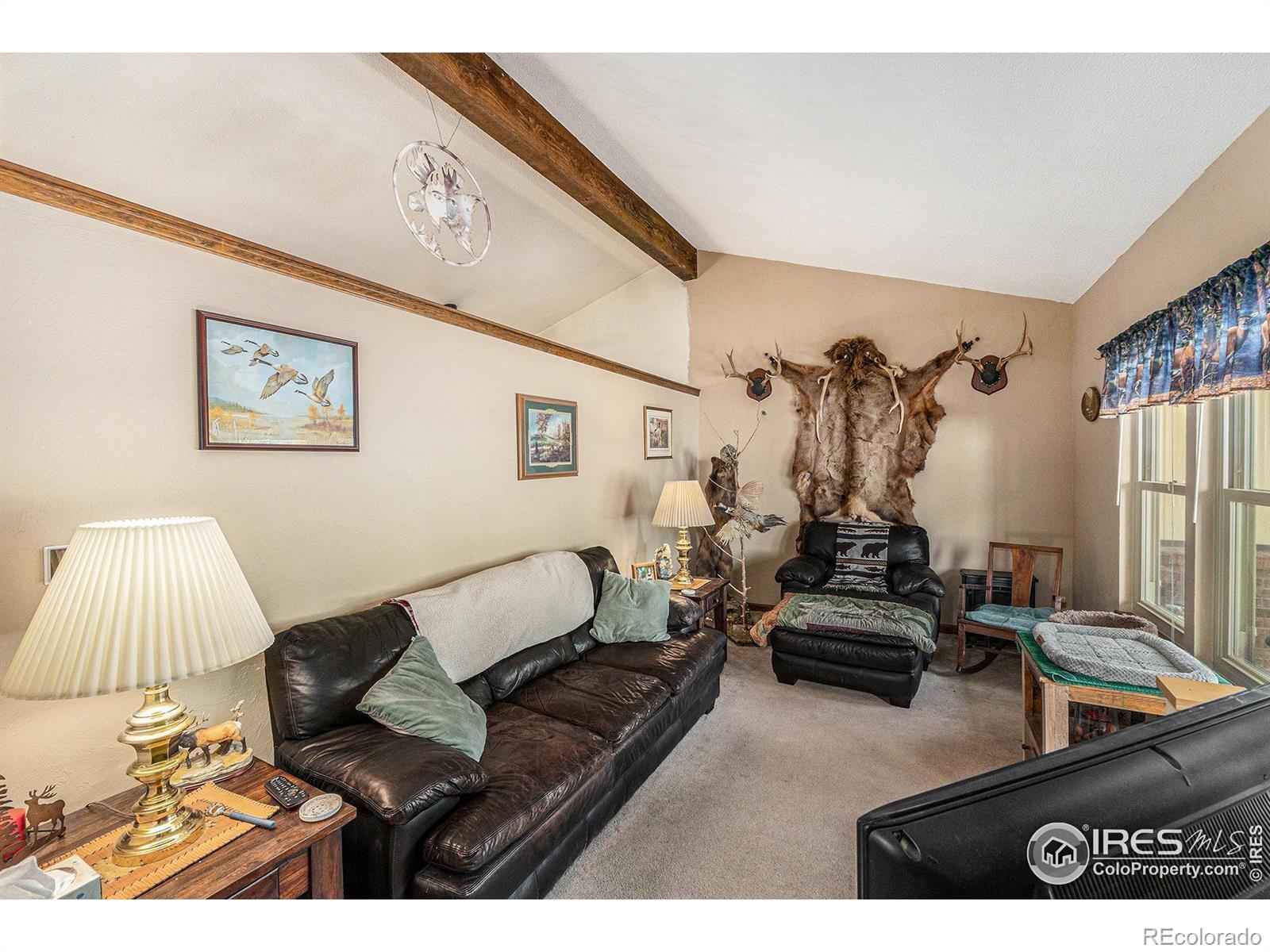 3334 34th Street Greeley CO 80634