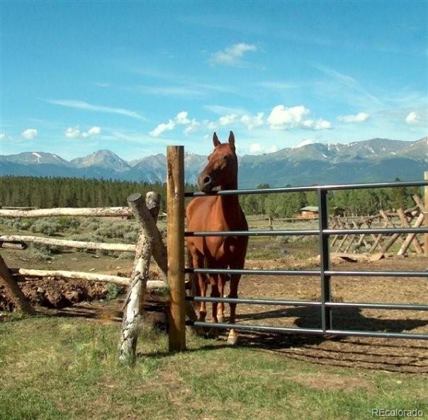 381 Empire Valley Drive Leadville CO 80461
