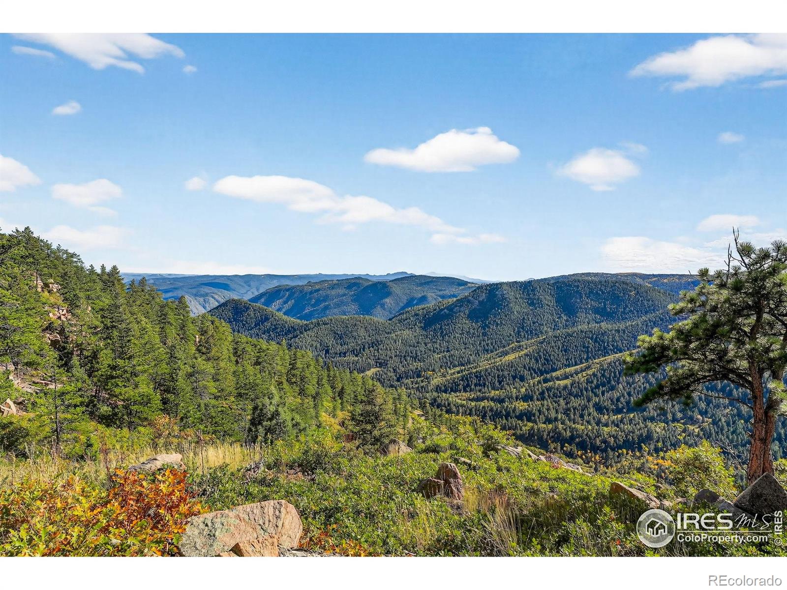 14900 Elk Mountain Trail Littleton CO 80127