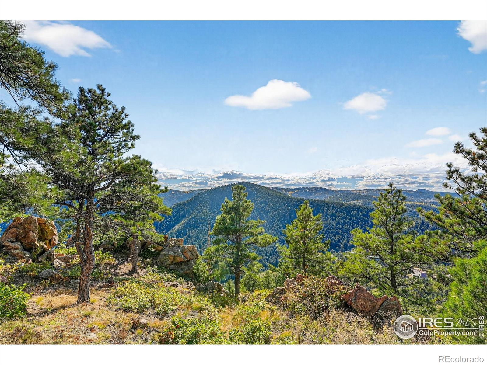 14900 Elk Mountain Trail Littleton CO 80127