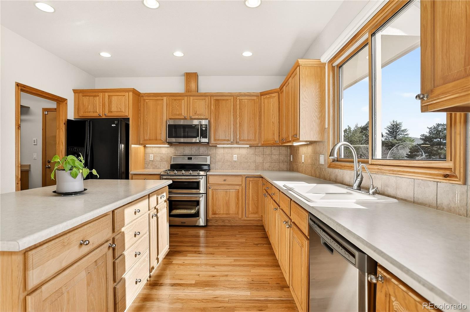 461 Tacker Court Castle Rock CO 80104