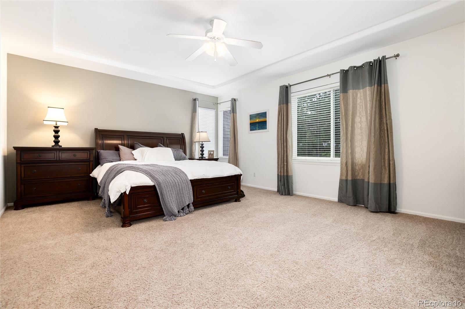 10541 Jaguar Glen Lone Tree CO 80124