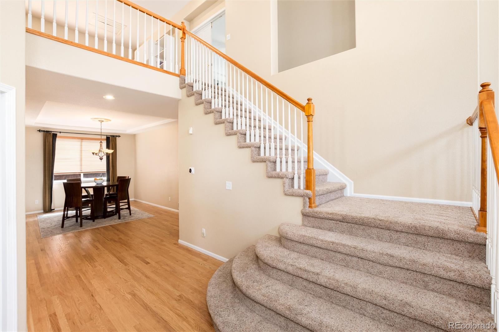 10541 Jaguar Glen Lone Tree CO 80124